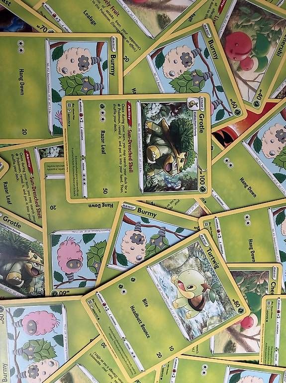 Pokémon Carte collezionabili: Pokemonkarten 100 – Usato da Baden venduto da mel_v7rg 1