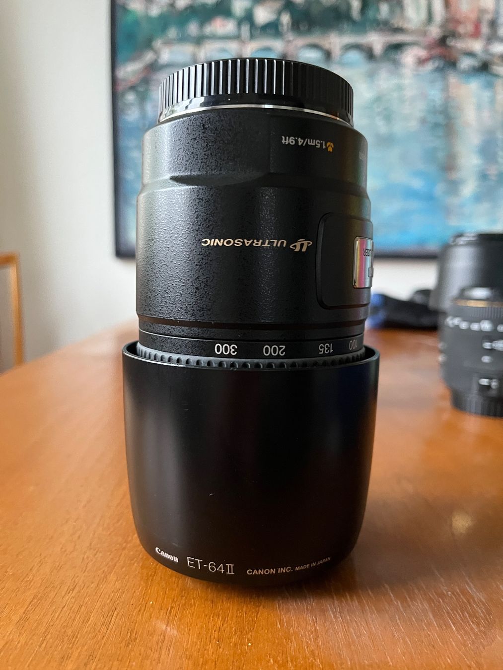 Canon Objektive: Canon EF 75-300 mm 1:4.0-5.6 – Gebraucht aus Zürich von Her_majesty 4