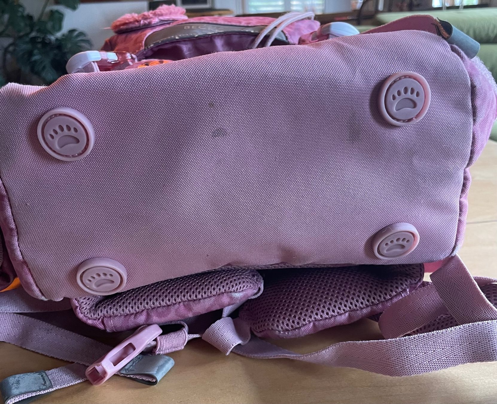 Borse & Zaini: Schulrucksack – Usato da Homberg b. Thun venduto da t...mee 4