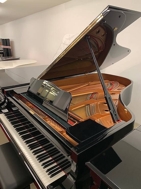Yamaha Strumenti musicali: Yamaha C6 neu!!! – Nuovo (secondo la descrizione) da Niederhasli venduto da Musikhaus-Ammann 3