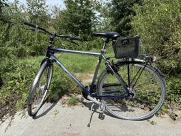 Fahrrad Herren Shimano Nexus 7-Gang