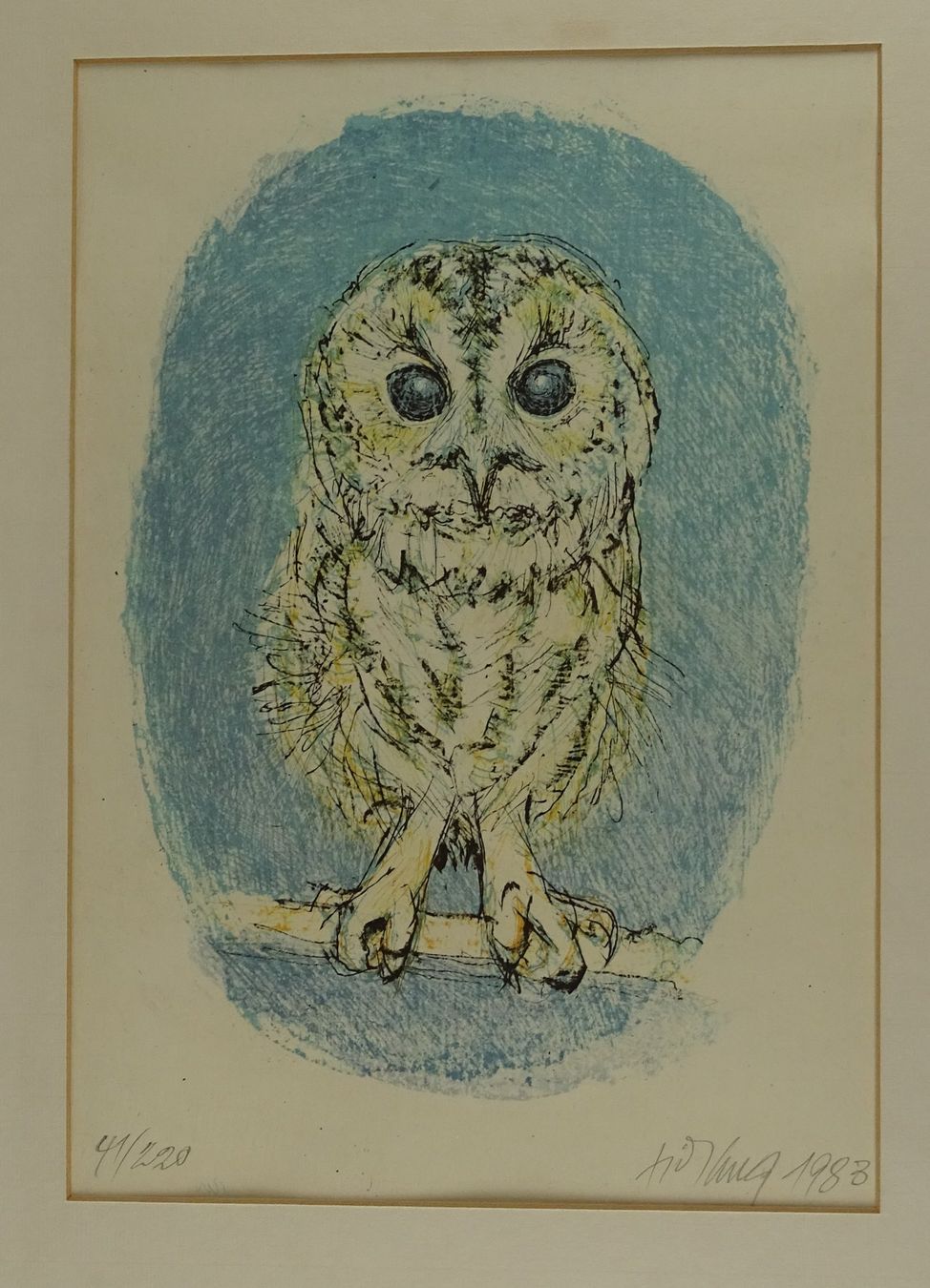 Grafiken & Lithographien: FRITZ HUG: JUNGER UHU, KAUZ, EULE, KÜKEN, FARBLITHOGRAPHIE – Gebraucht aus Grüningen von Kartensammler