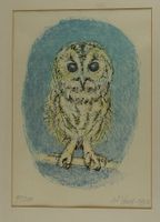 FRITZ HUG: JUNGER UHU, KAUZ, EULE, KÜKEN, FARBLITHOGRAPHIE