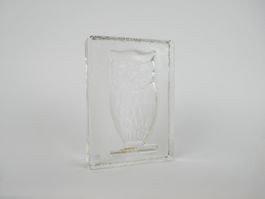 Eulen Buchstütze Glas