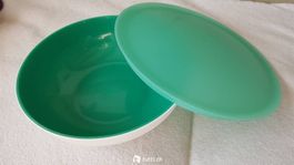 Allegra Schüssel 740 ml Tupperware