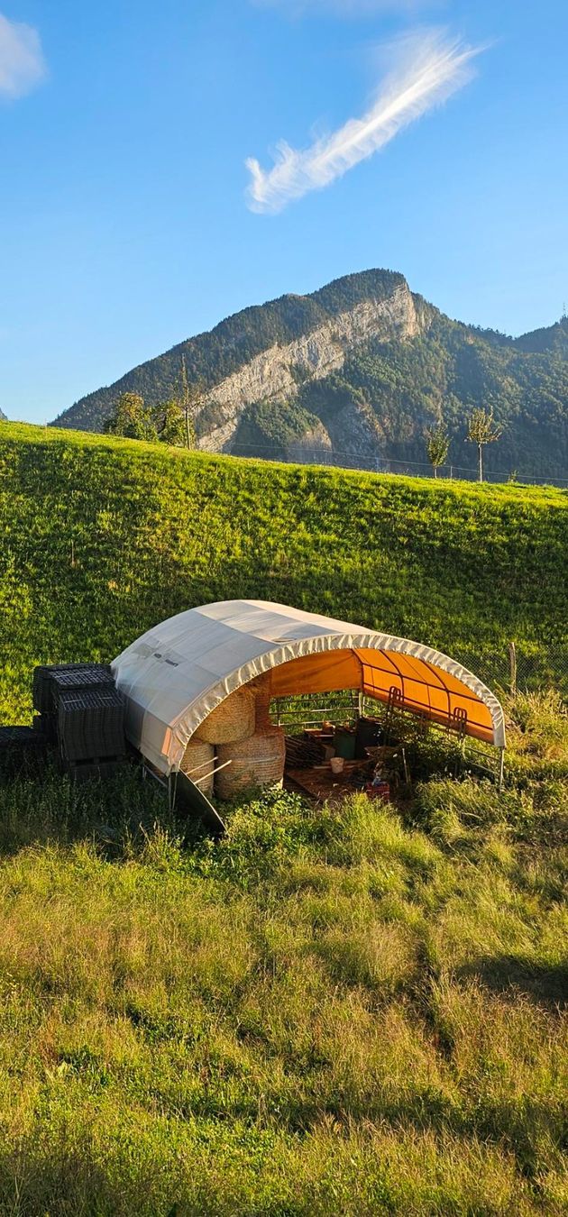 Accessori per la stalla: Weideuntterstand Rundbogenzelt – Usato da Steinen venduto da Holz1 1