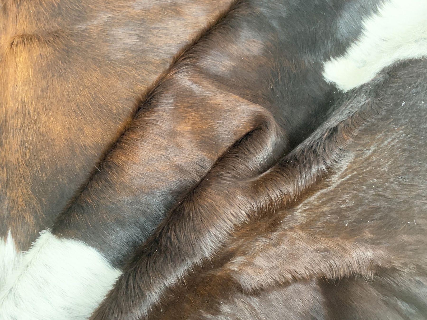 Tappeti: echtes Kuhfell Teppich exotic tricolor – Nuovo e nell'imballaggio originale da Arbedo venduto da patagonialeatherrugs 2