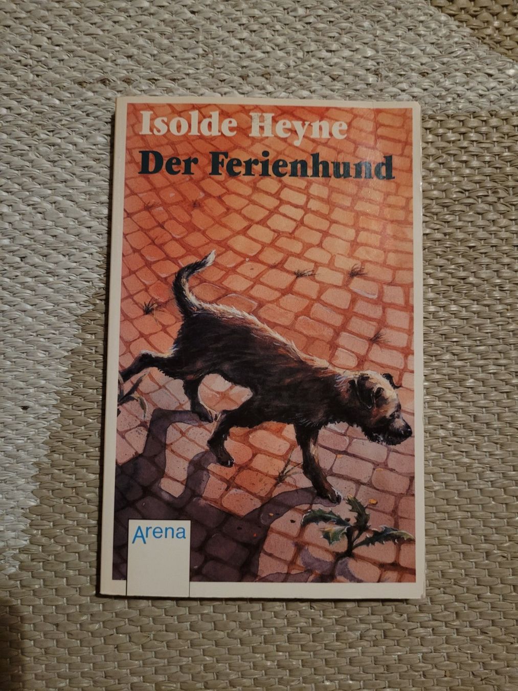 Libri: Der Ferienhund – Usato da Perlen venduto da Safari_23