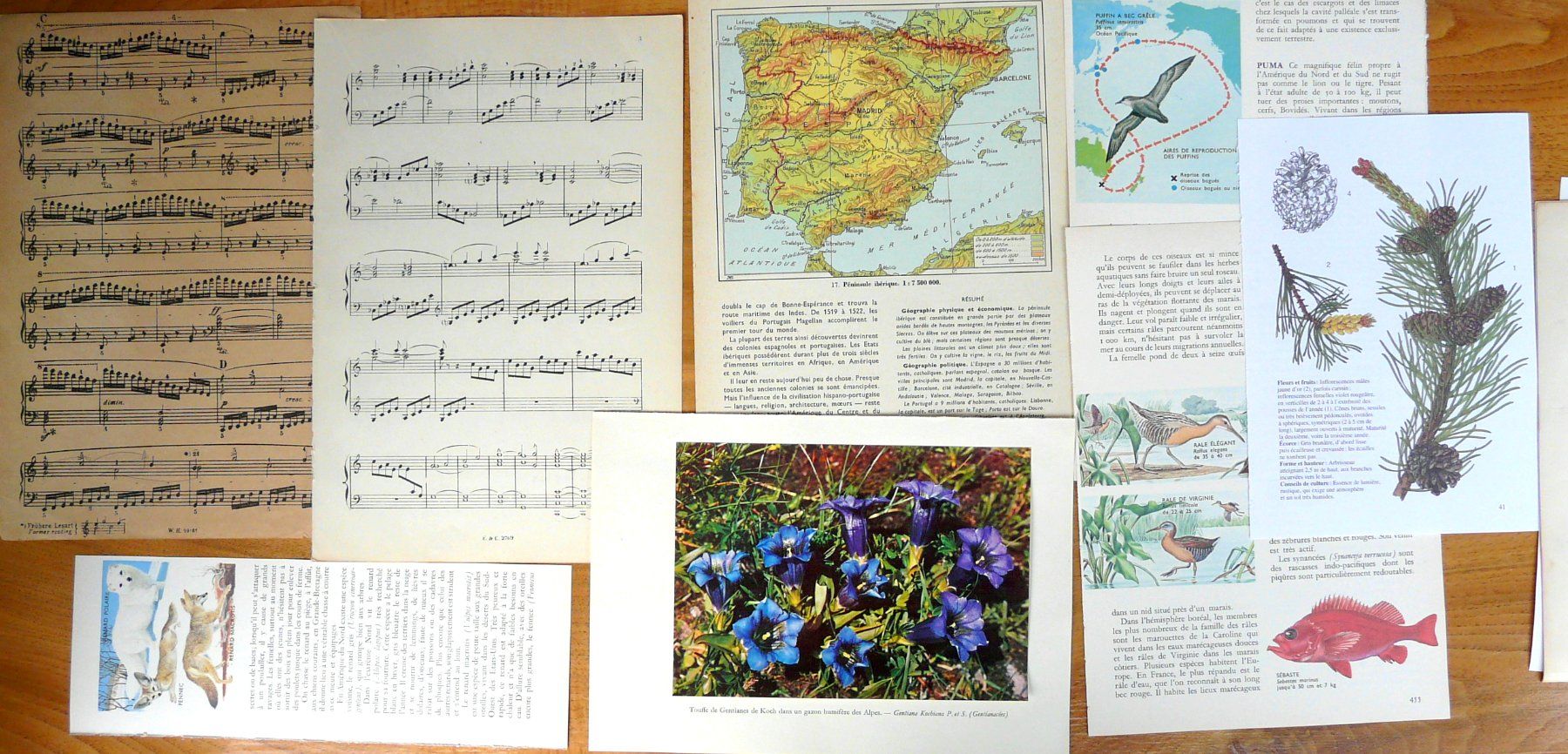 Libri: ephemera 7/papier collage bastelpapier scrapbooking +Versand – Usato da Pully venduto da websurfer1 4