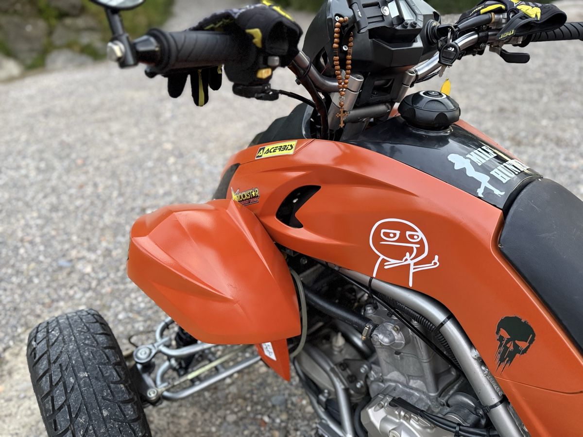 Dinli Quads: Dinli DL DMX 450 – D'occasion à Bischofszell par Ehelena 4