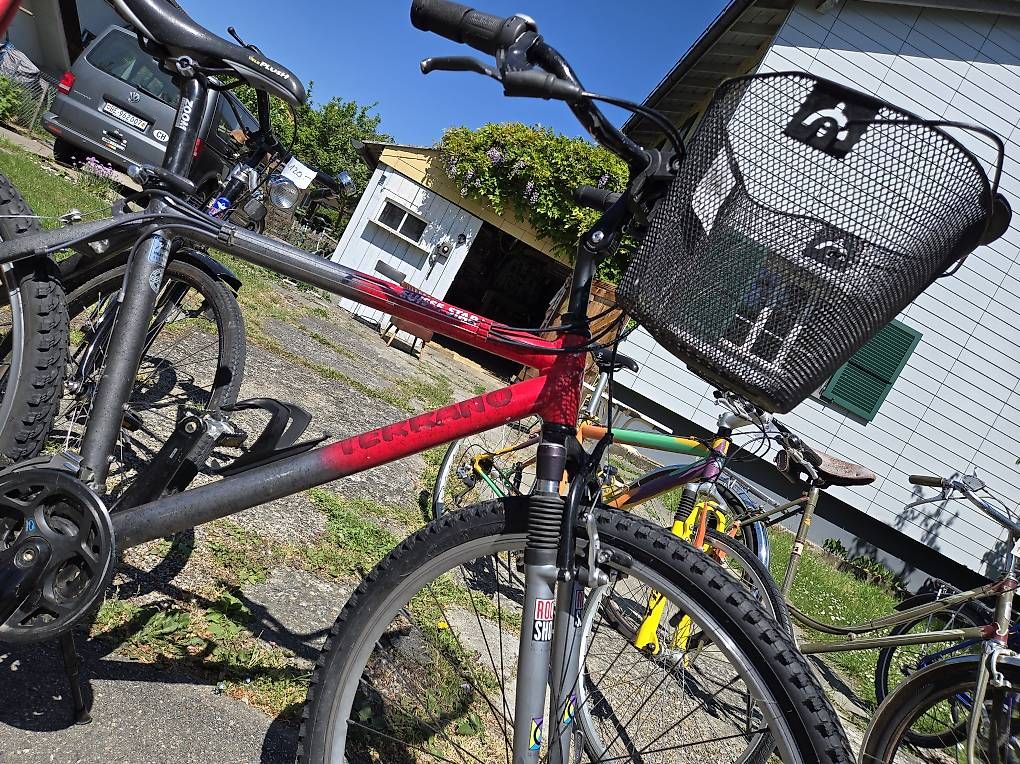 Biciclette: Terrano suisse star MTB – Usato da Biel/Bienne venduto da Rouf7 3