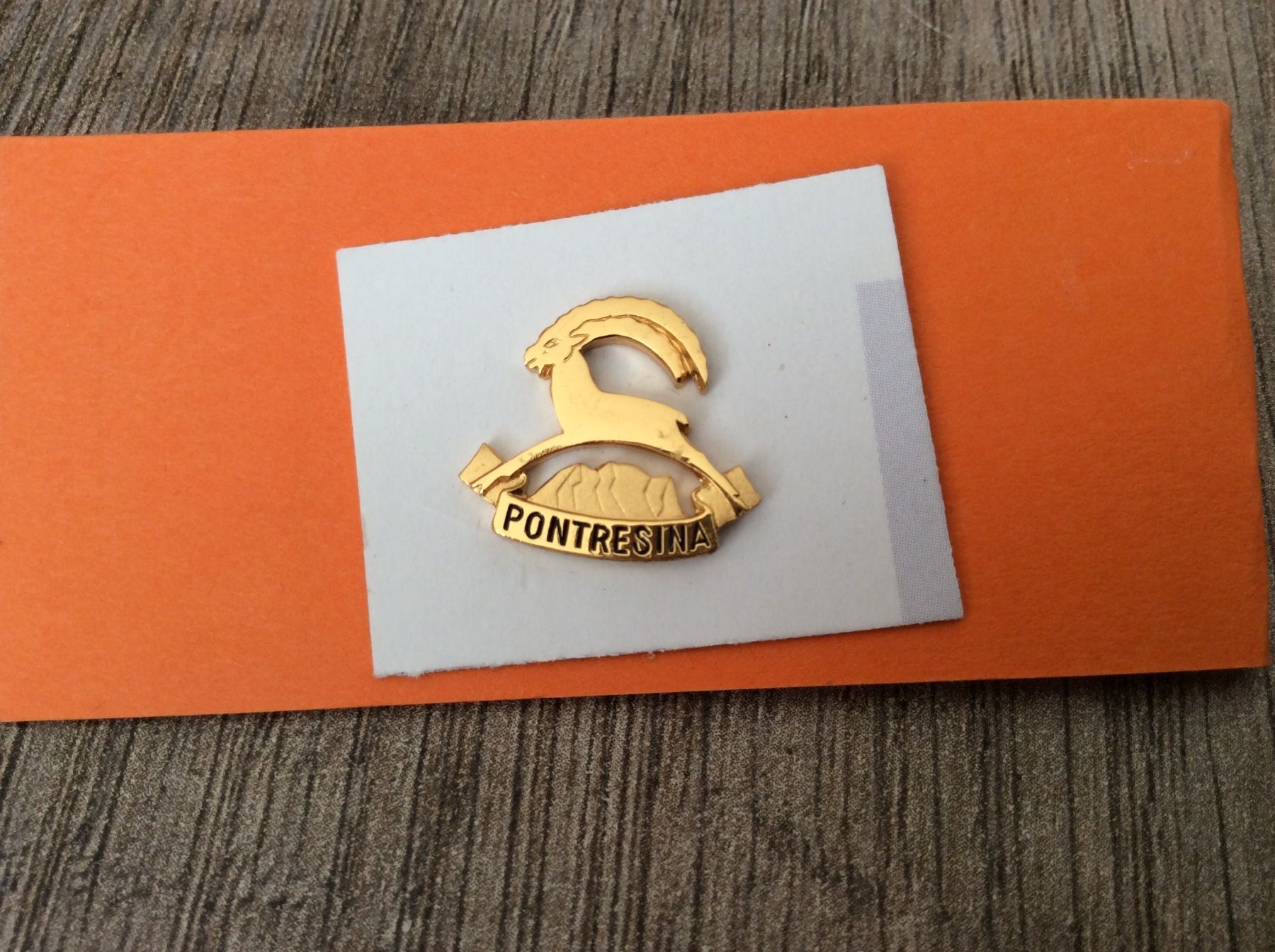 Placchette & Badge: 1 Pin Steinbock Pontresina – Usato da Triesen / Liechtenstein venduto da Edgardo55