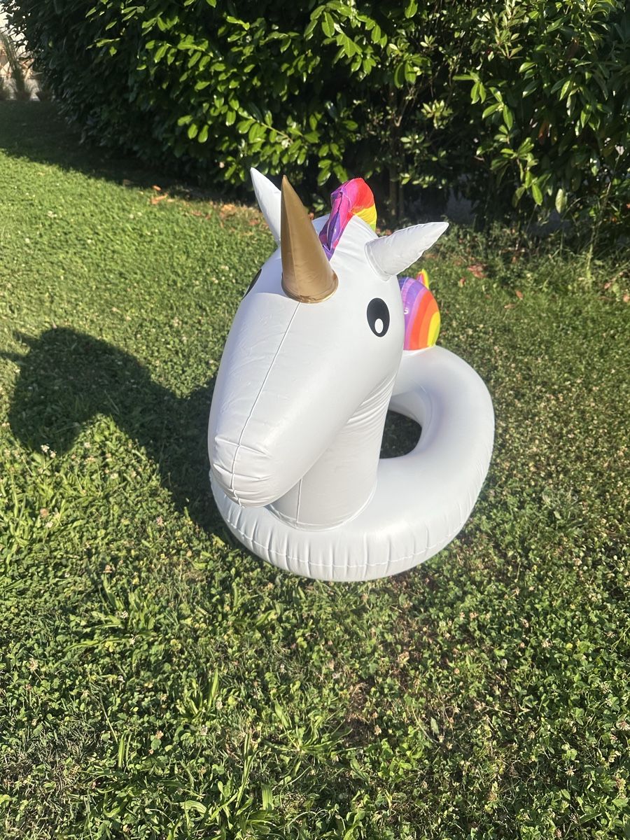 Schwimmringe: Einhorn, aufblasbar – Gebraucht aus Wangen b. Olten von kellybundy31 1