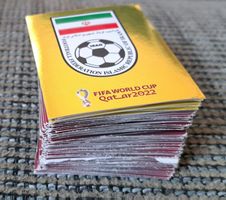 Panini FIFA World Cup Qatar 2022 134 Sticker