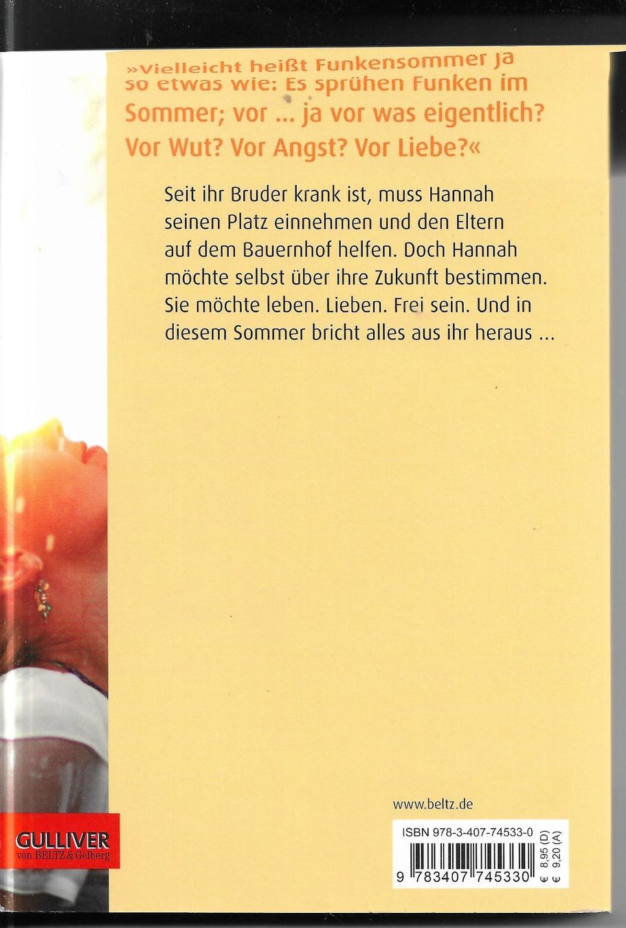 Libri: Michaela Holzinger - Funkensommer – Nuovo (secondo la descrizione) da Nunningen venduto da mercury-for-books 1