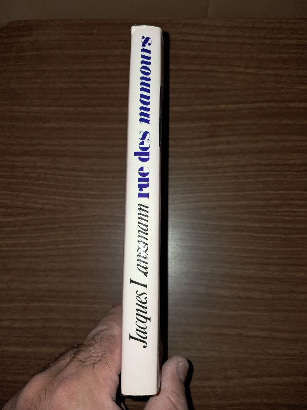 Libri: Rue des mamours Livre de Jacques Lanzmann – Usato da Le locle venduto da juliensaran 2