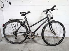 🚲 Mondia Damen Vintage Bike 28" 🚚