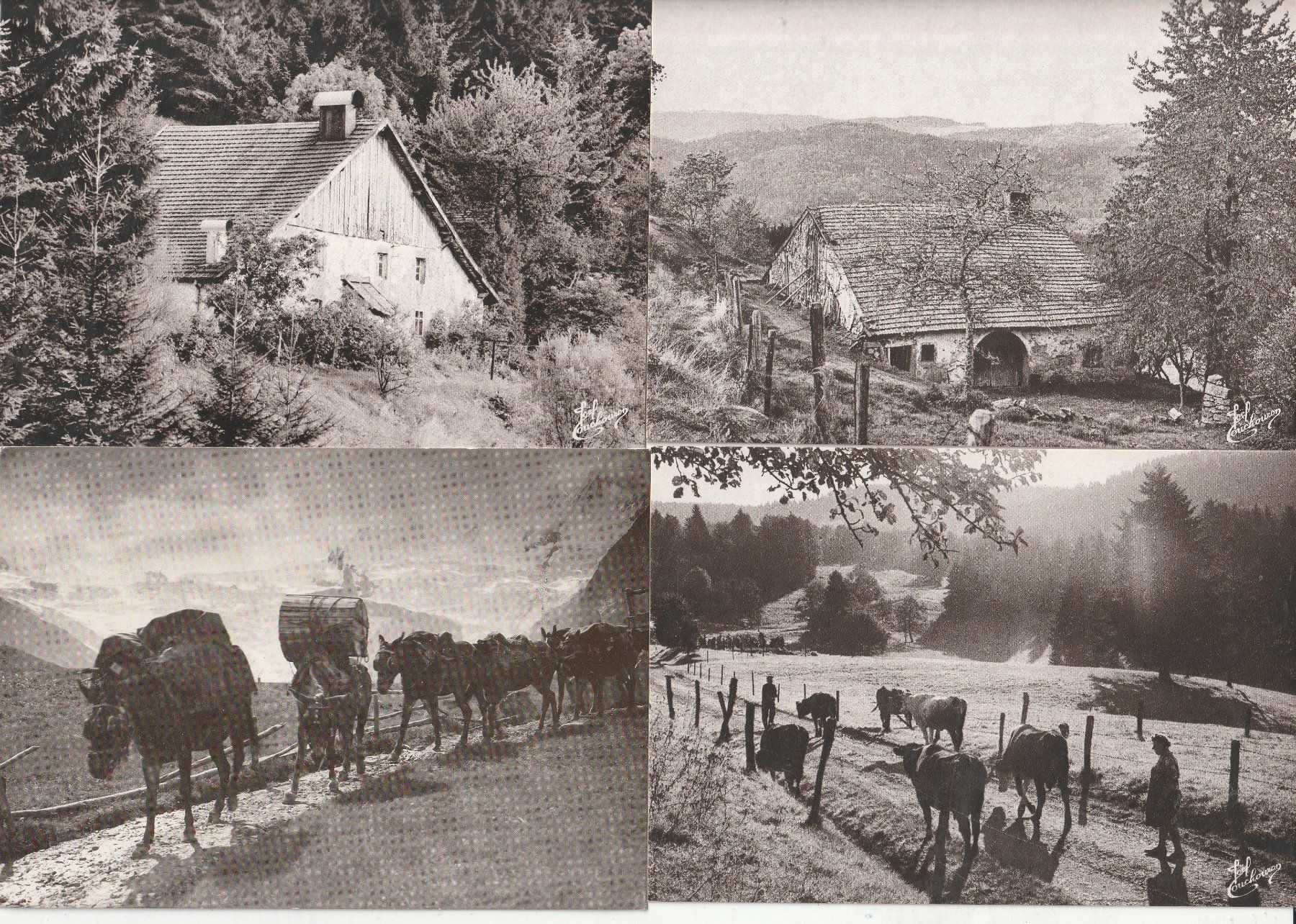 Ansichtskarten: 40 Kunst - Grusskarten etc – Gebraucht aus Lumbrein von made02 4