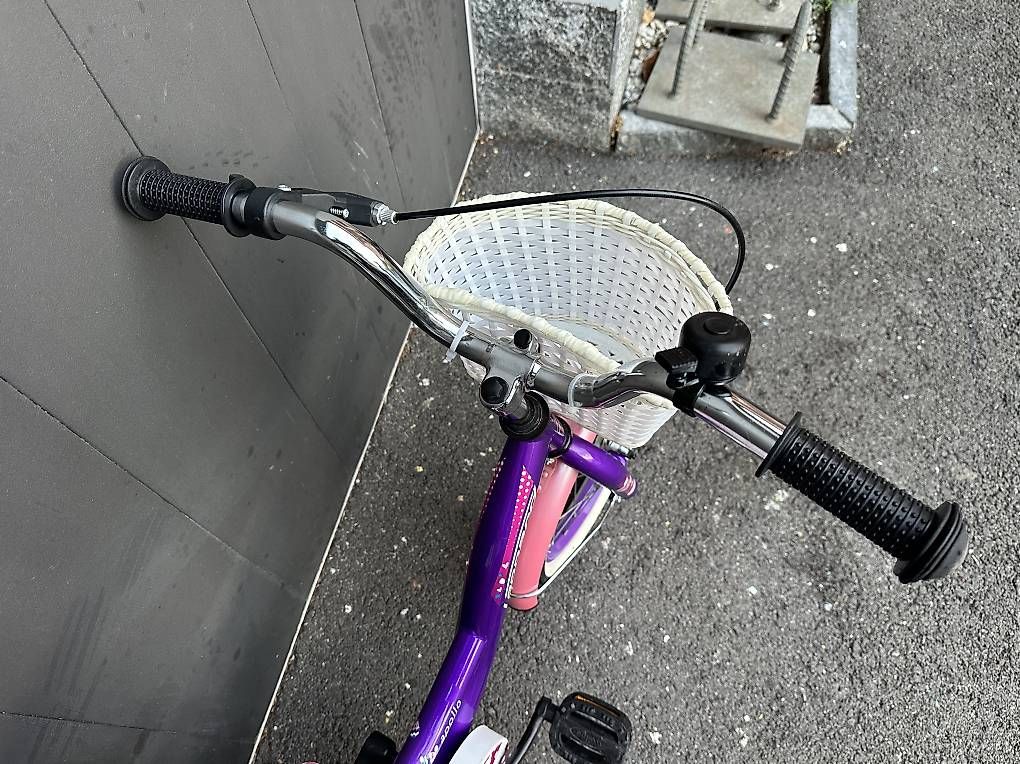 Biciclette: Bicicletta da bambina Leopard 16 – Usato da Quartino venduto da DiloUsato 4
