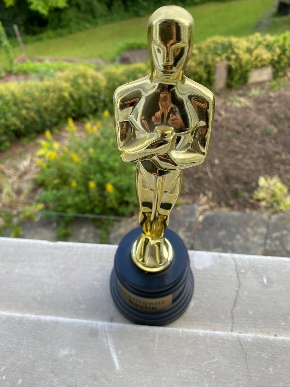 Sculture & Statue: Pokal Intelligenz-Bestie – Usato da Weinfelden venduto da Cheyenne21