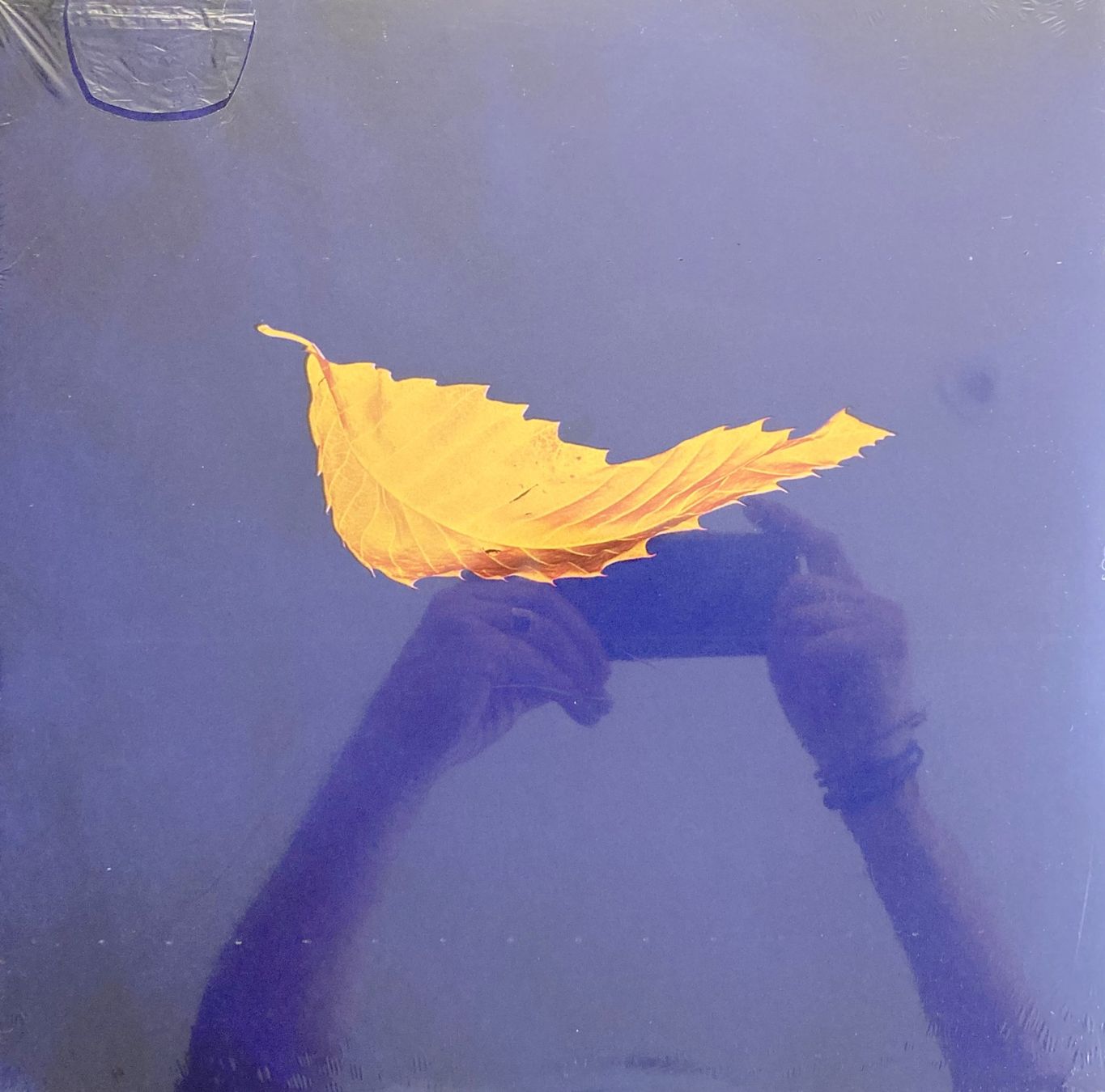 Vinyles: NEW ORDER - TRUE FAITH – Neuf avec emballage d'origine à Bottens par hotter-than-hell