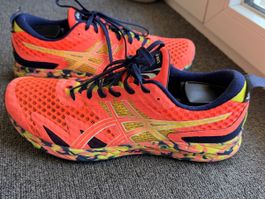 Asics Gel Noosa Tri 12 homme taille 45