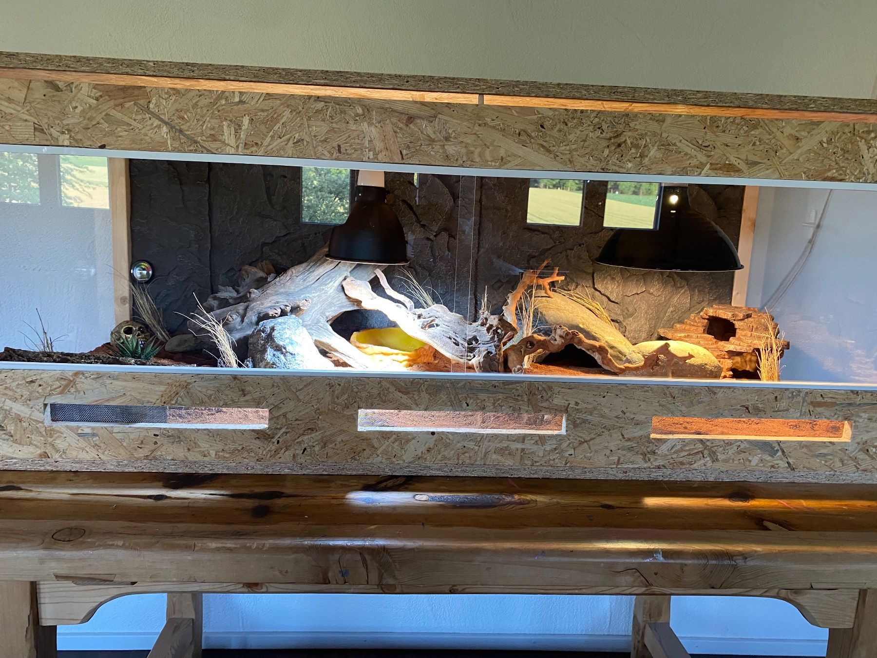 Terrariums: Wüstenterrarium mit Einrichtung – Neuf (Voir description) à Bülach par jon_c57r 2