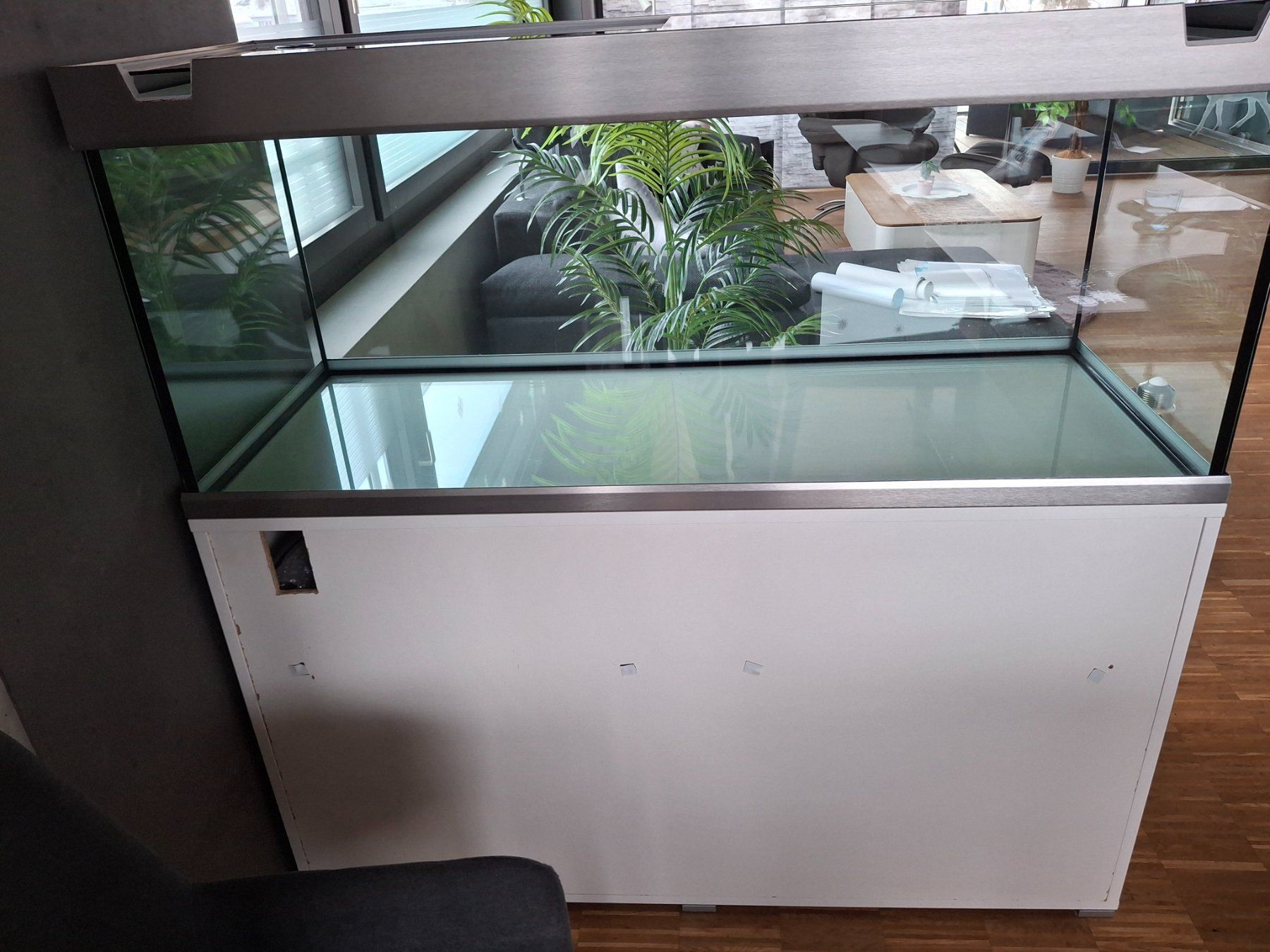 Eheim Acquari: Aquarium Eheim Proxima 325 weiss – Usato da Emmenbrücke venduto da ruf_fsy9 1