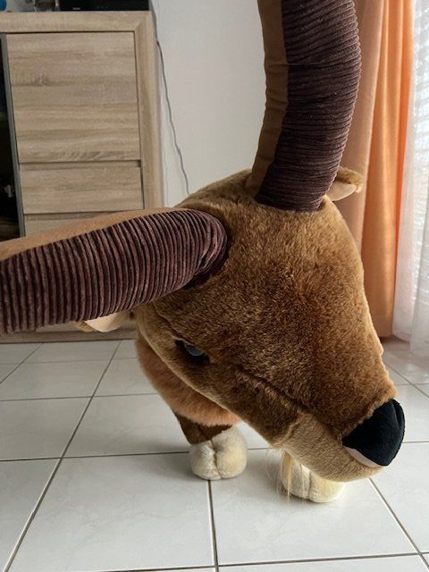 Welt der Tiere: Steinbock – Gebraucht aus Dietlikon von Cam0 2