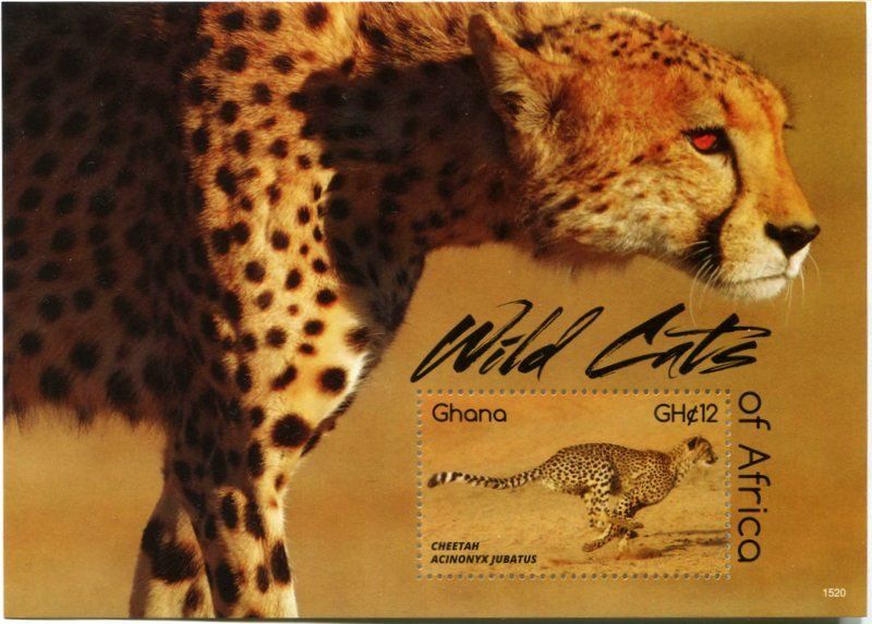 Tous les timbres: Block "Gepard". Ghana – Neuf avec emballage d'origine à Basel par Butsch5