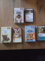 Kartenspiele 3er- Set