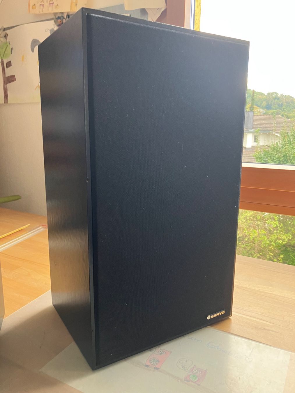 Sanyo Lautsprecher: Stereo Lautsprecher-Boxen – Gebraucht aus Aesch BL von Litespeed11677 6