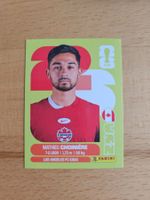 Panini WM 2026 CAN 15