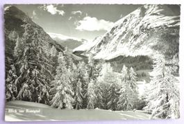 Blick ins Rosegtal