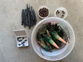 Blumat Bewässerungssystem