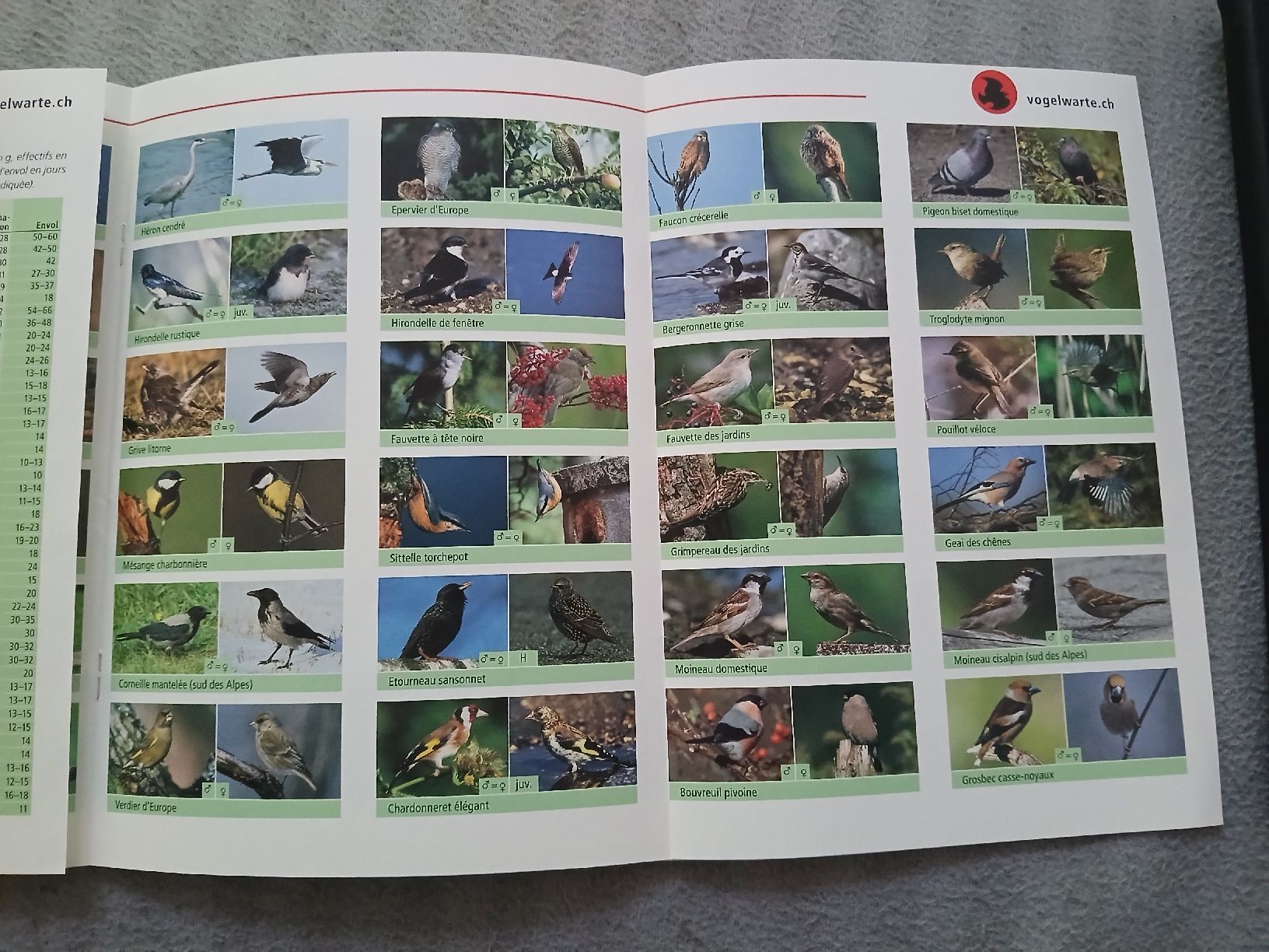Libri: Livre "Oiseaux de nos jardins" – Usato da Le Sentier venduto da arc_2thy 5