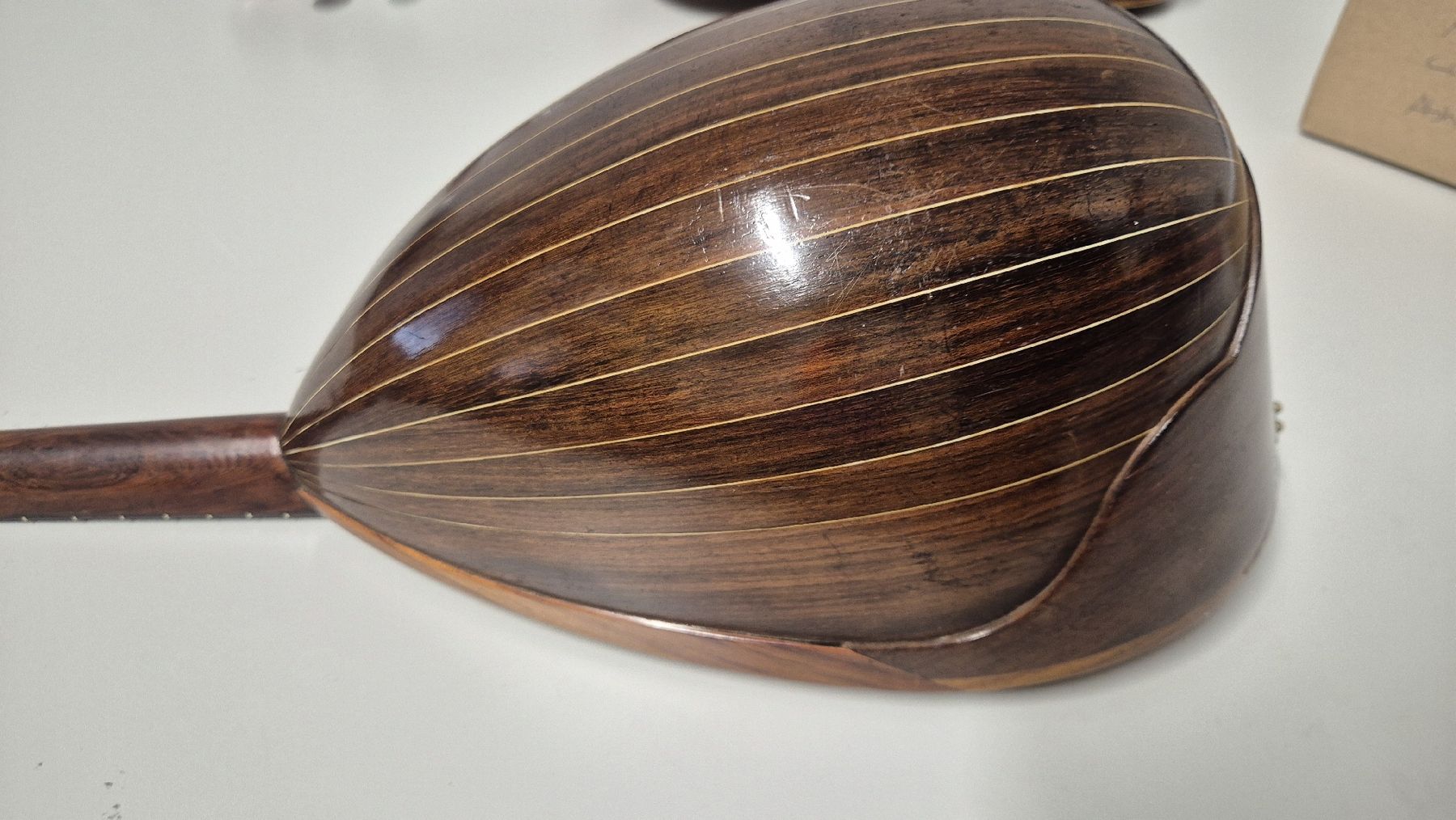 Strumenti musicali: Mandoline Raffaele Calace 1913 – Usato da Rämismühle venduto da beni0010 3