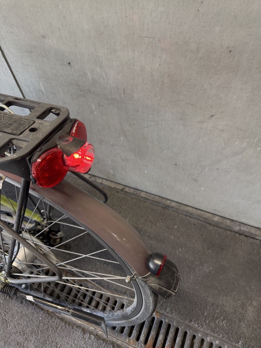 Flyer Velos: Elektrovelo Flyer  – Gebraucht aus Kägiswil von rezha 7