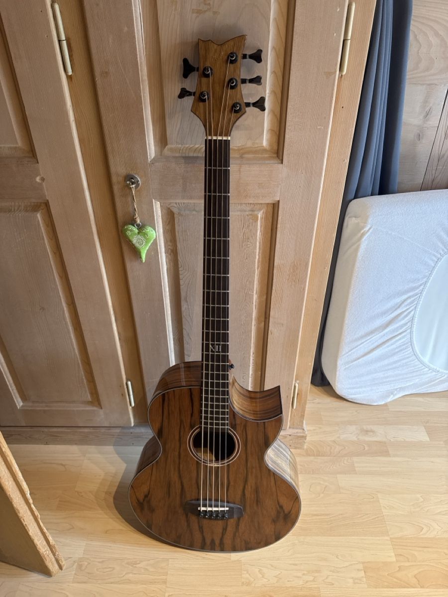 Strumenti musicali: Bass Gitarre Halbakustisch – Usato da Adelboden venduto da gloomer