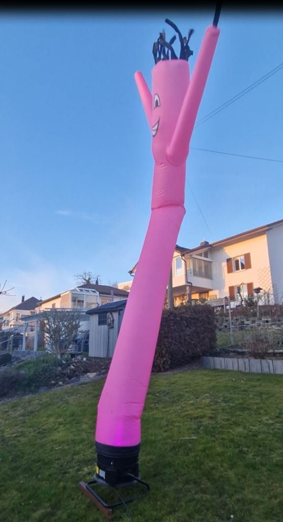 Statuette: Skydancer mieten in pink oder grün – Usato da Dottikon venduto da Cedric92