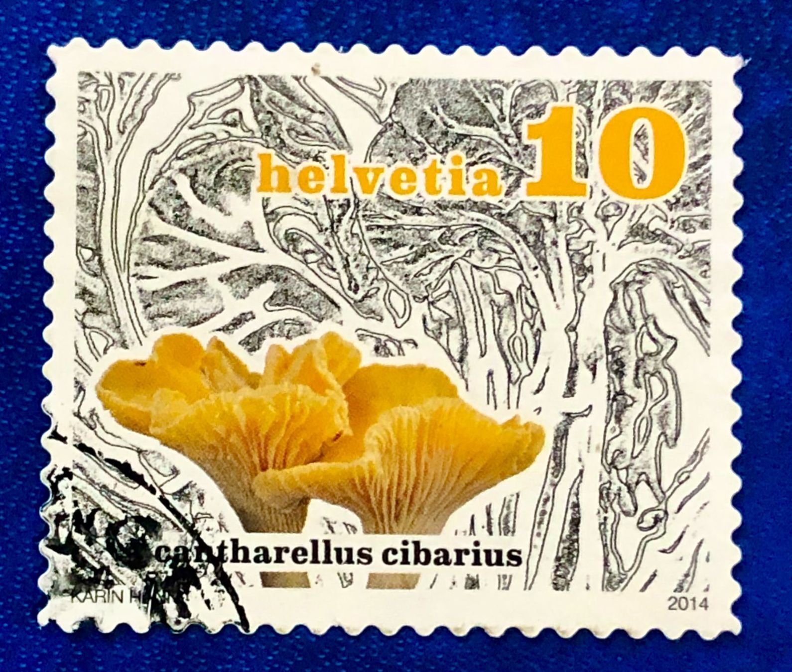 Tutti i francobolli: Nr.1503 Eierschwamm Dauermarken GESTEMPELT 2014    – Usato da Aarau venduto da Billa007