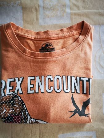 T-shirt garçon Jurassic Park orange, 8-10 ans