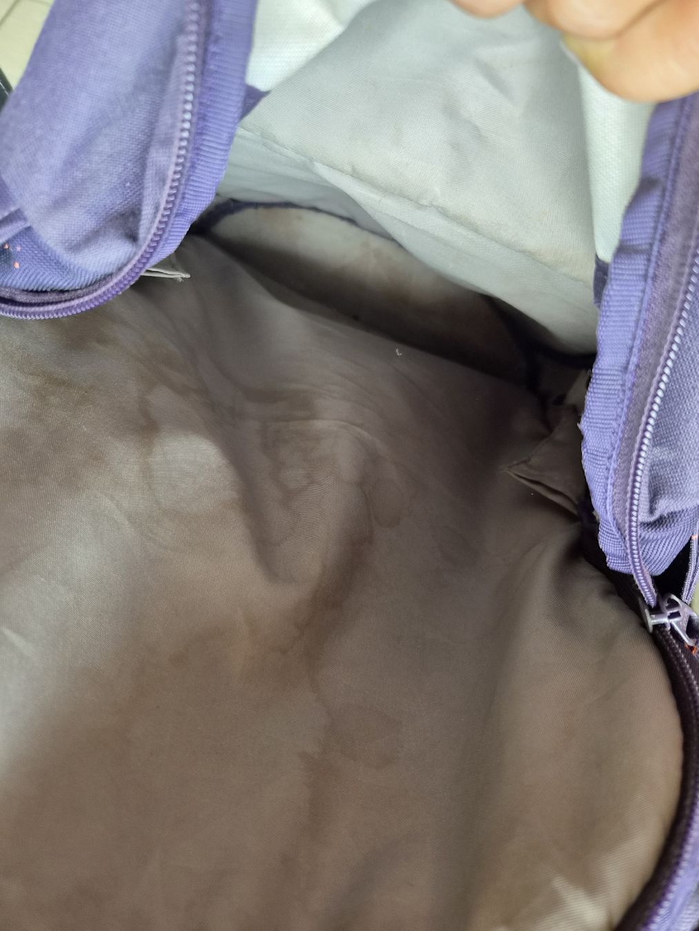 Borse & Zaini: Schulrucksack Satch lila gesprenkelt  – Usato da Sigriswil venduto da Aline_87 3
