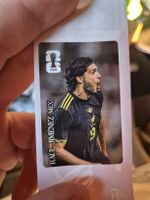 cola panini Raul Jimenez