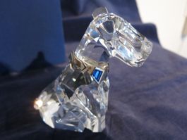Swarovski Hund Gross