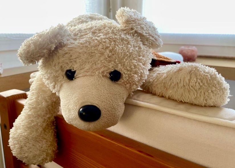 Giocattoli: Teddybär / Benny-Energiebär – Usato da Frauenfeld venduto da Ronja07 3