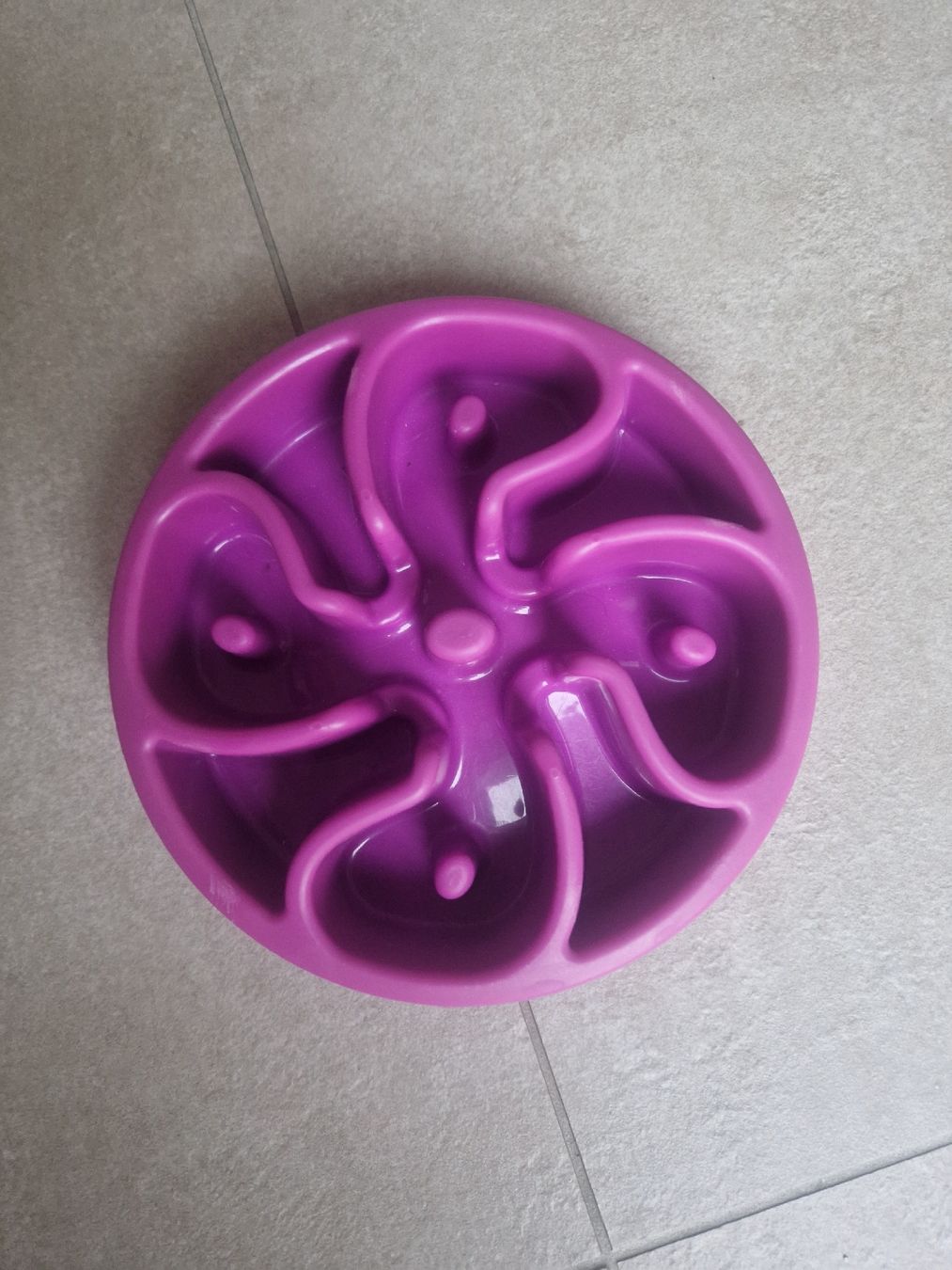Mangimi: Gamelle neuve pour chien ou chat glouton – Usato da Denges venduto da elo_2zgb