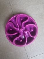 Gamelle pour chien glouton