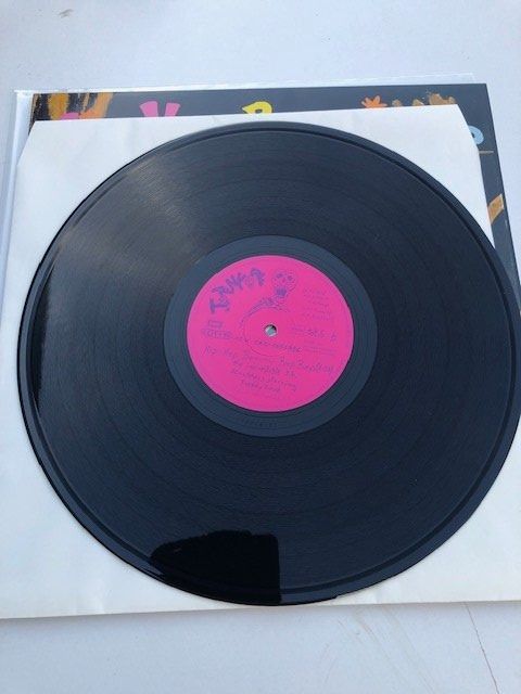 Dischi in vinile: Die Toten Hosen – Usato da Aarwangen venduto da Jukebox3 8