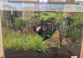 Dennerle 35 Liter Tank komplett